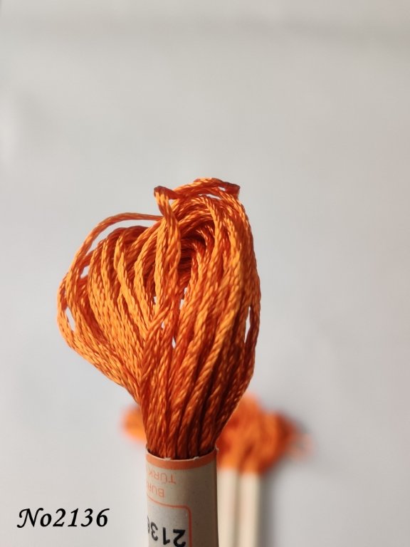 2136 (DMC922) (1) (Medium)